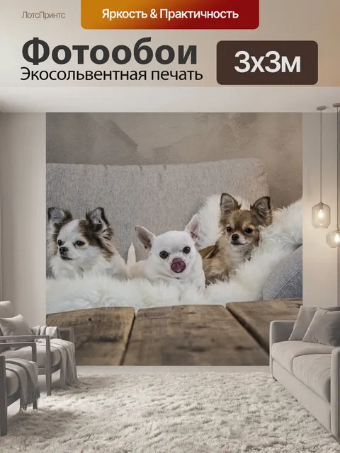 Фотообои Собака