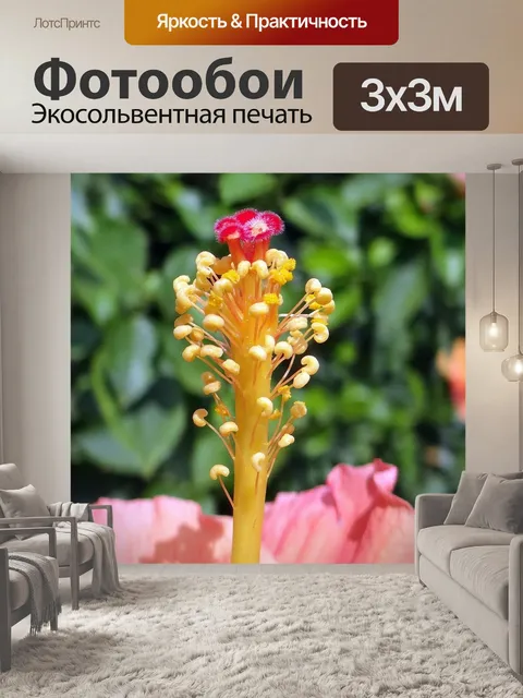 Фотообои Гибискус