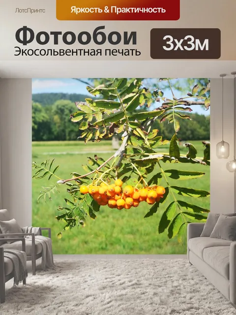 Фотообои Ягода
