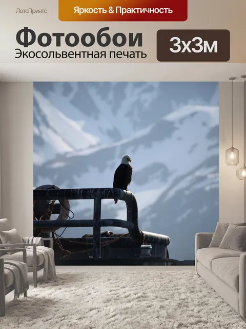 Фотообои Белоголовый орлан