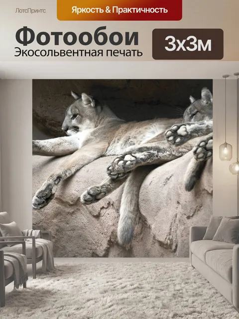 Фотообои Горные львы