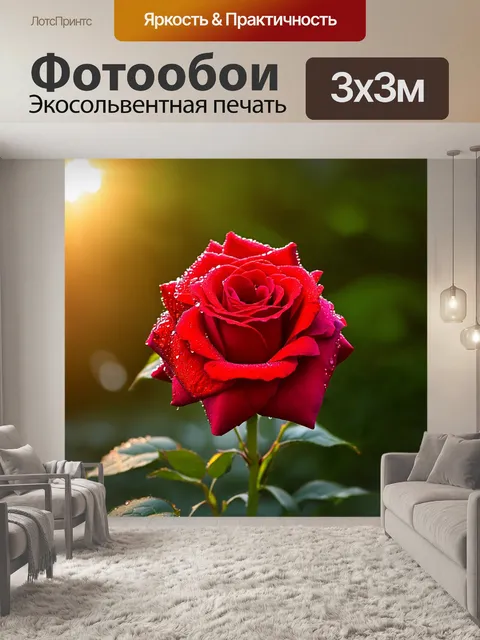 Фотообои лепесток ярко-красной розы