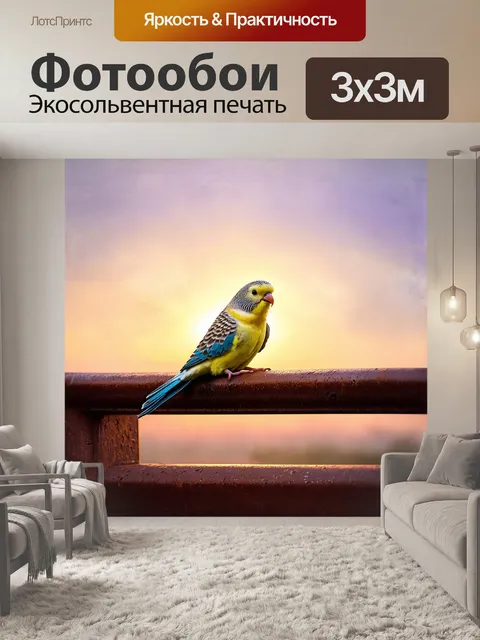 Фотообои на фоне нежного заката волнистый попугайчик весело сидит на металлическом ржавом карнизе