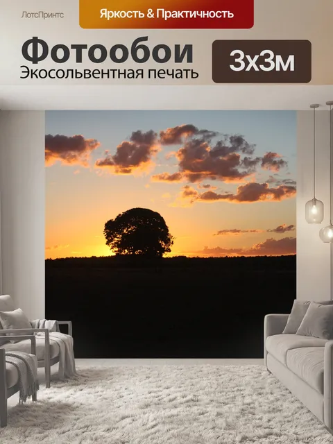 Фотообои Солнце