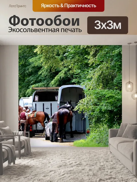 Фотообои Конный спорт