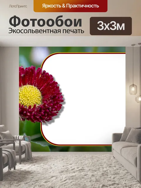 Фотообои Красный цветок, прозрачная рамка