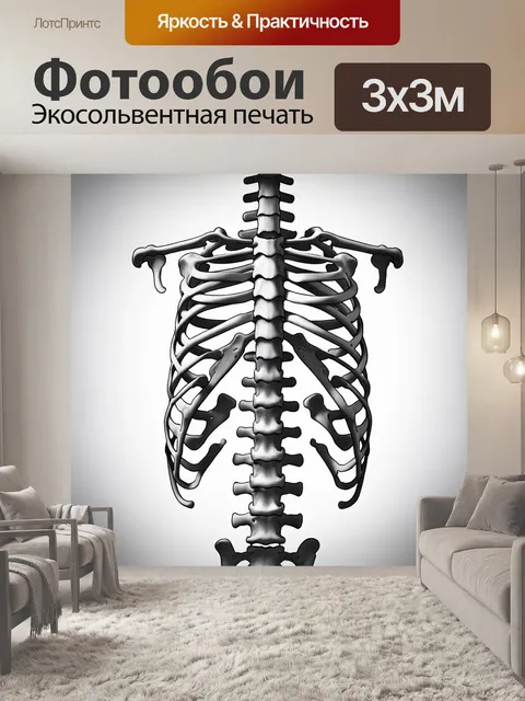 Фотообои изображение анатомического строения грудной клетки, выполненное в стиле реалистического рисунка