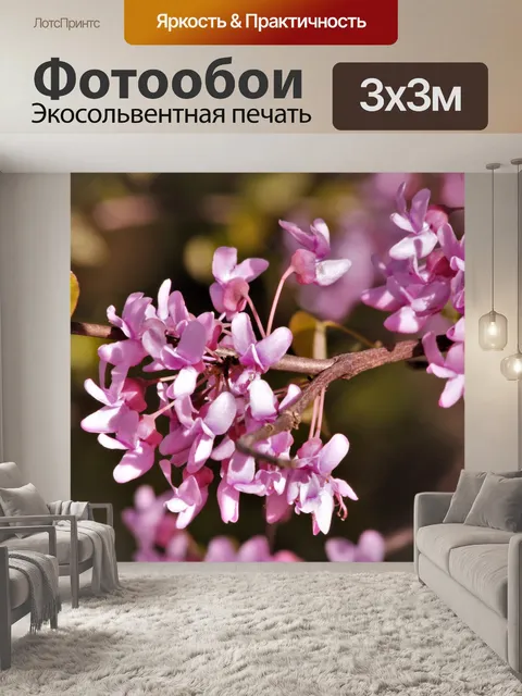 Фотообои Красный бутон цветет крупным планом