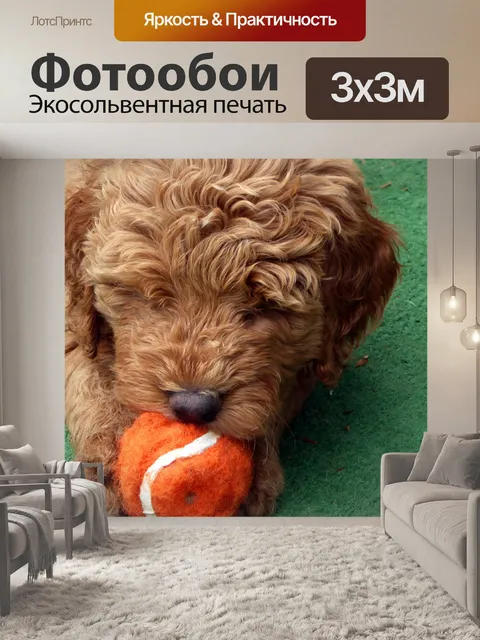 Фотообои щенок
