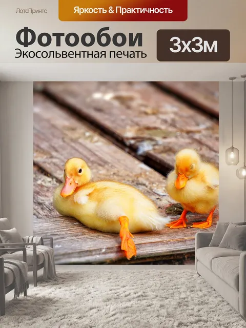 Фотообои Милый