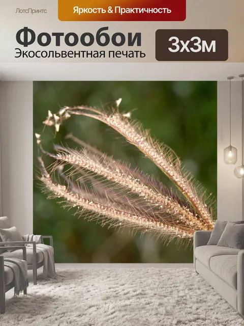 Фотообои Сухой дикий цветок