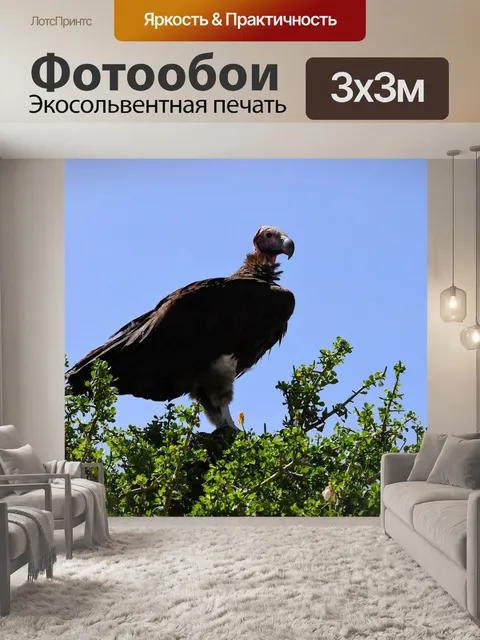 Фотообои Дикая природа