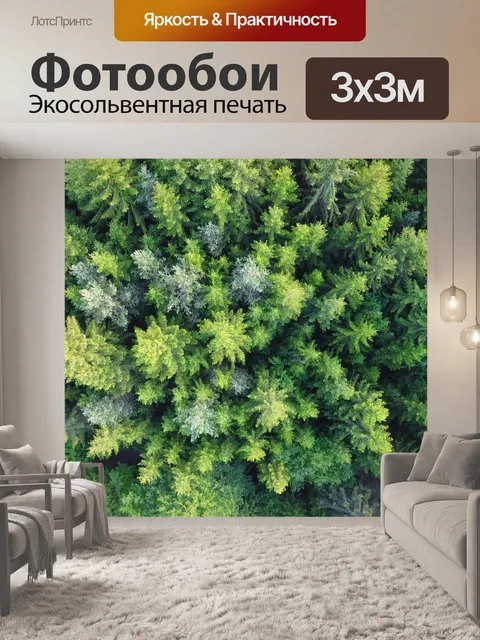 Фотообои Лес
