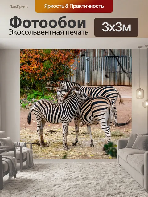 Фотообои Зебра