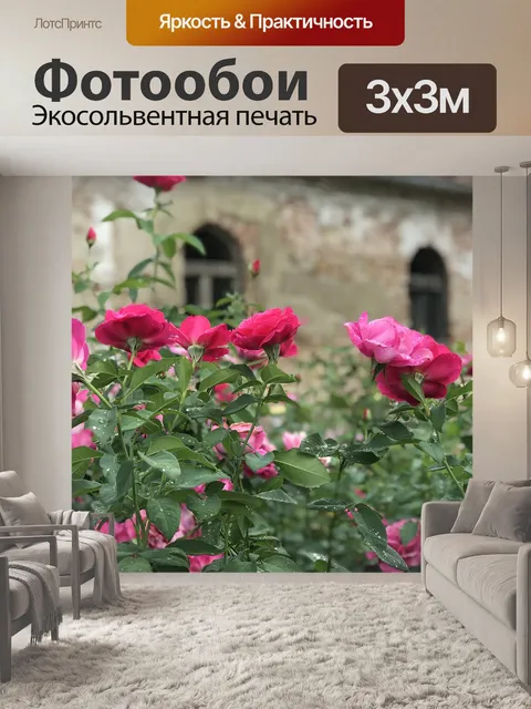 Фотообои Розы