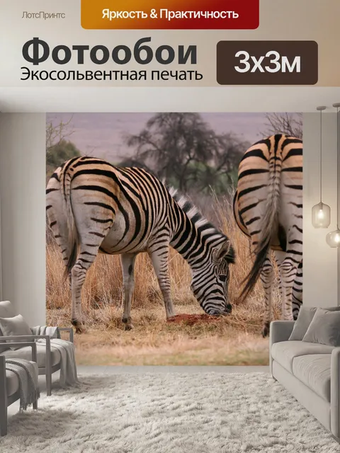 Фотообои Зебра выпас