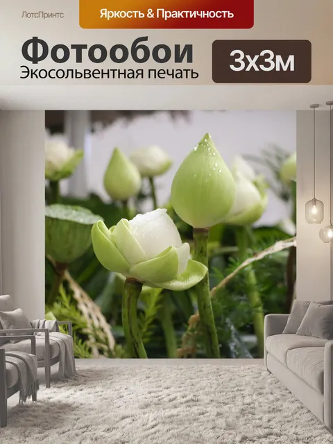 Фотообои Цветок
