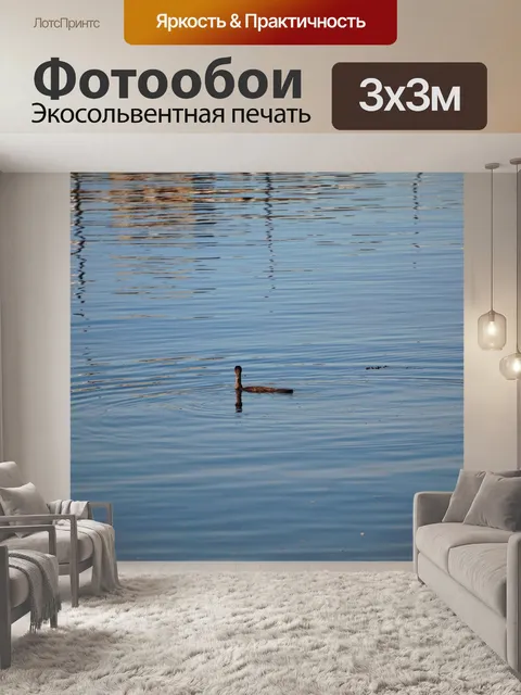 Фотообои Баклан в ручке