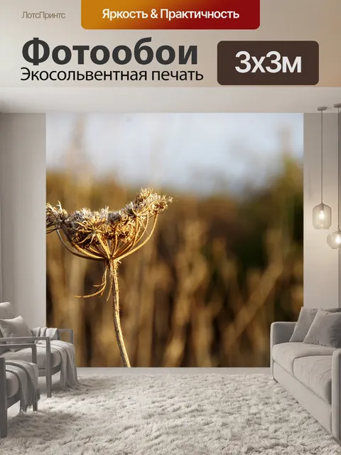 Фотообои Сухое кружево королевы Анны