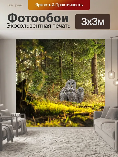 Фотообои Лес