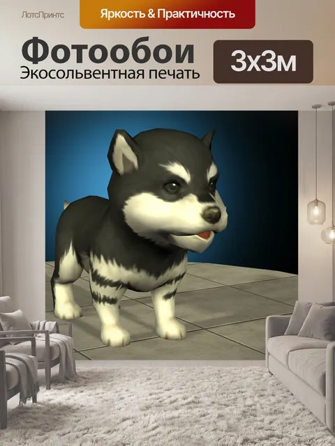 Фотообои собака маламута