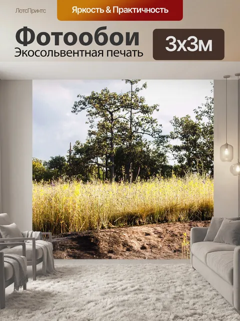 Фотообои Трава цветочное поле, полевые цветы