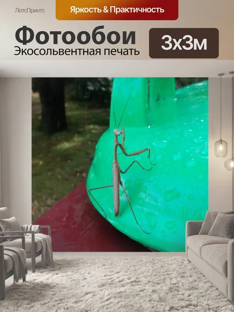 Фотообои Богомол на мусорное ведро крышкой
