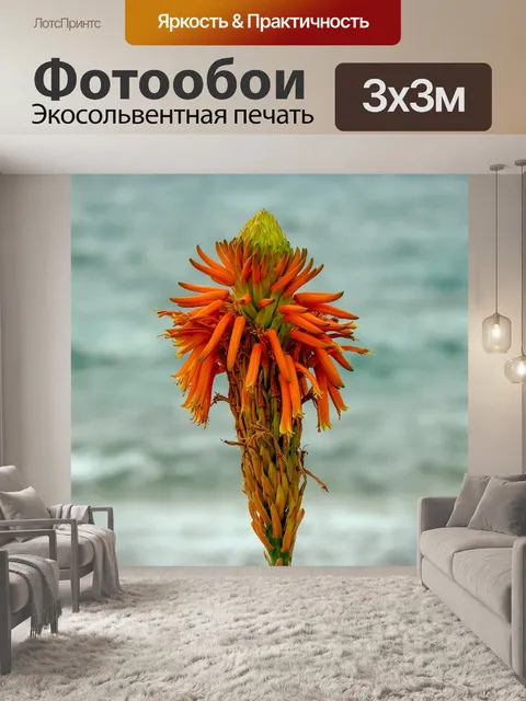 Фотообои Алоэ вера