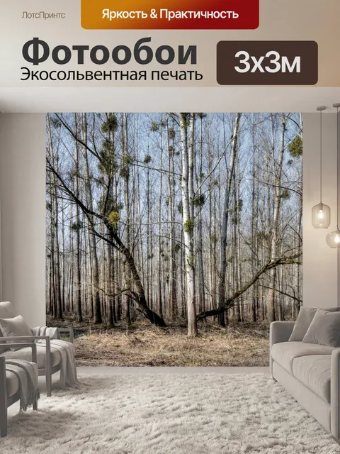 Фотообои Анархия в лесу