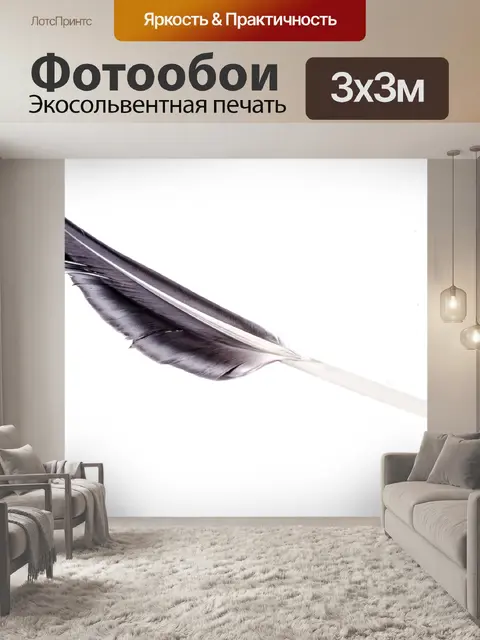 Фотообои Черное перо