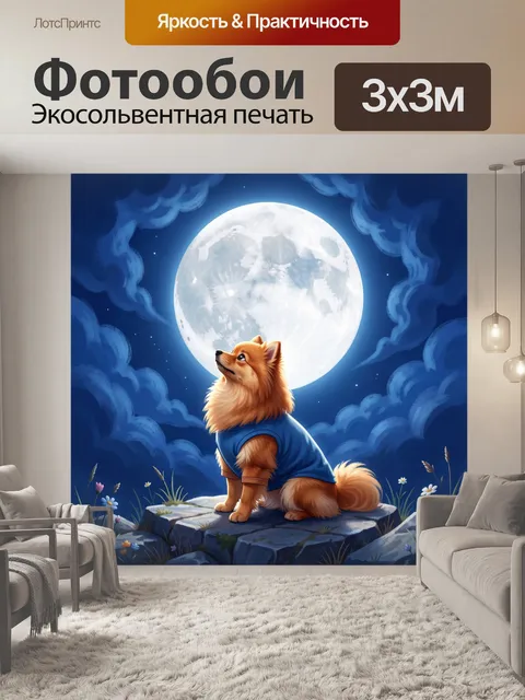 Фотообои Шпиц под полной луной