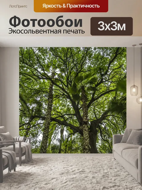 Фотообои Бамбук