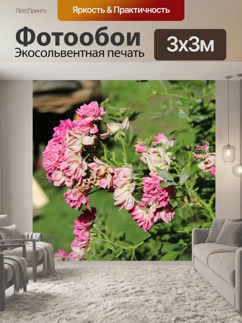 Фотообои Плетистая роза