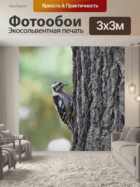 Фотообои Птица