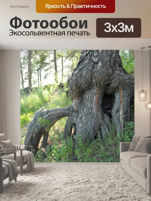 Фотообои Корни деревьев