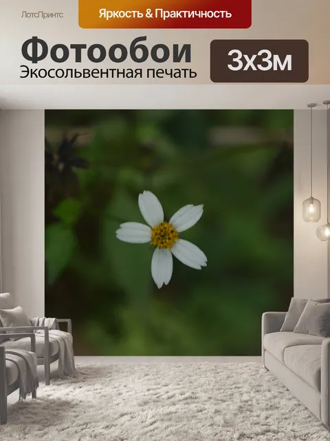 Фотообои Настроение