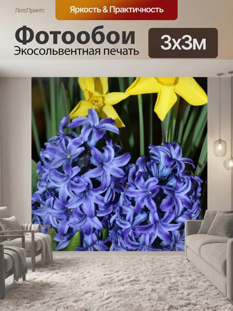 Фотообои Голубой гиацинт и нарциссы