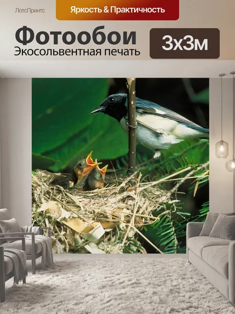 Фотообои Сине синее горло камышевки