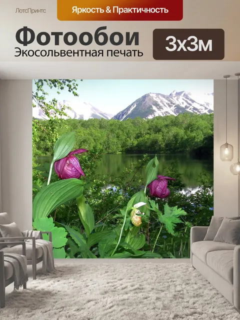Фотообои Венерин башмачок крупноцветковый