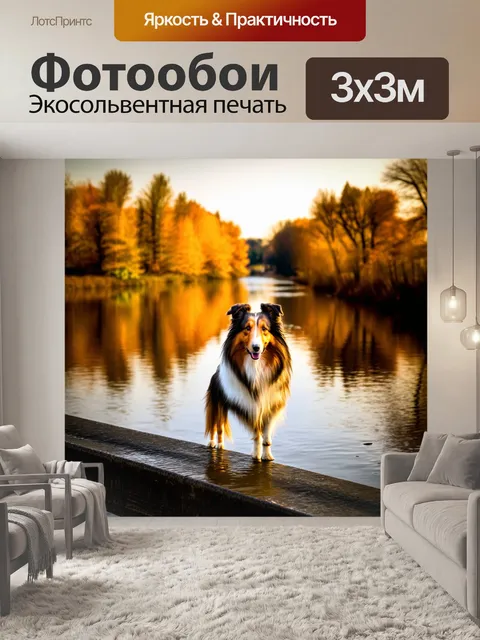 Фотообои шелти, стоящая на мосту над спокойной рекой в золотой час, отражение собаки и окружающих деревьев в воде