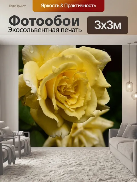 Фотообои Желтая роза