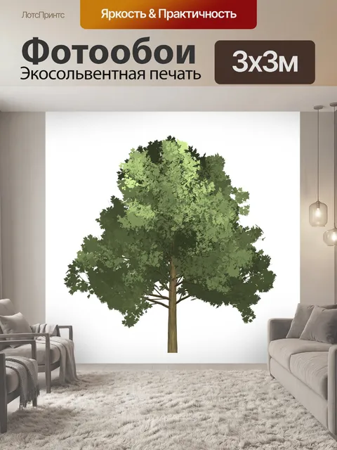 Фотообои Клен