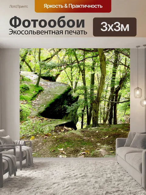 Фотообои Деревья на краю обрыва