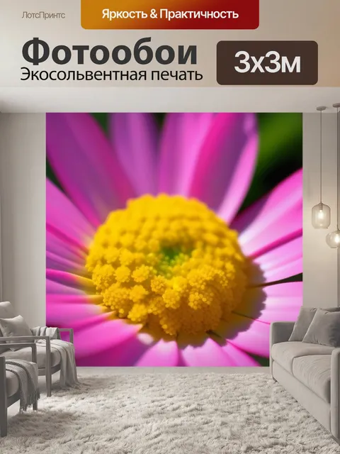 Фотообои солнце, касающееся лепестков цветущих растений