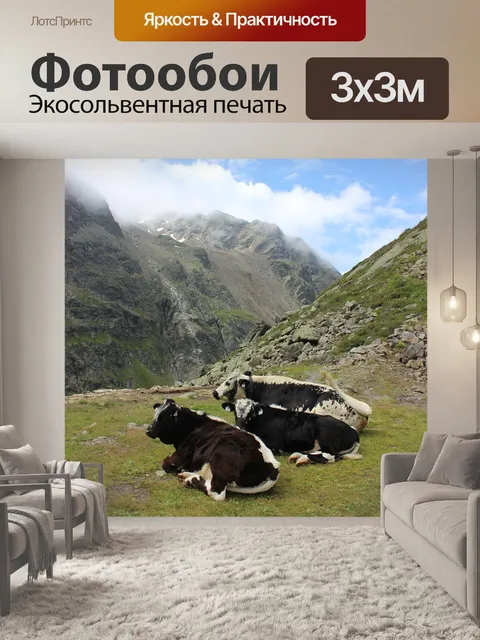Фотообои Коровы