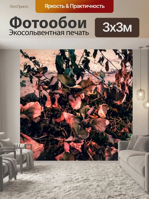 Фотообои Обои на стену
