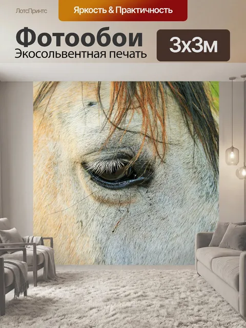 Фотообои белый конь закрыть