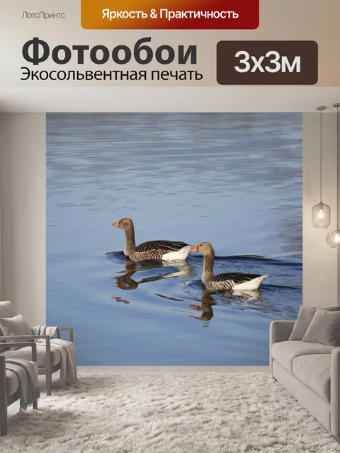 Фотообои Гуси