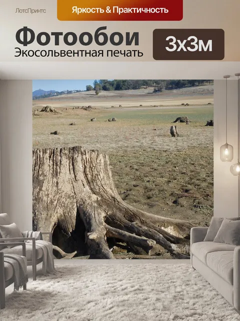 Фотообои Фолсом озера засуха 62