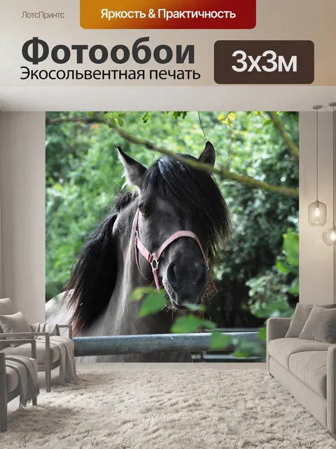 Фотообои Лошадь